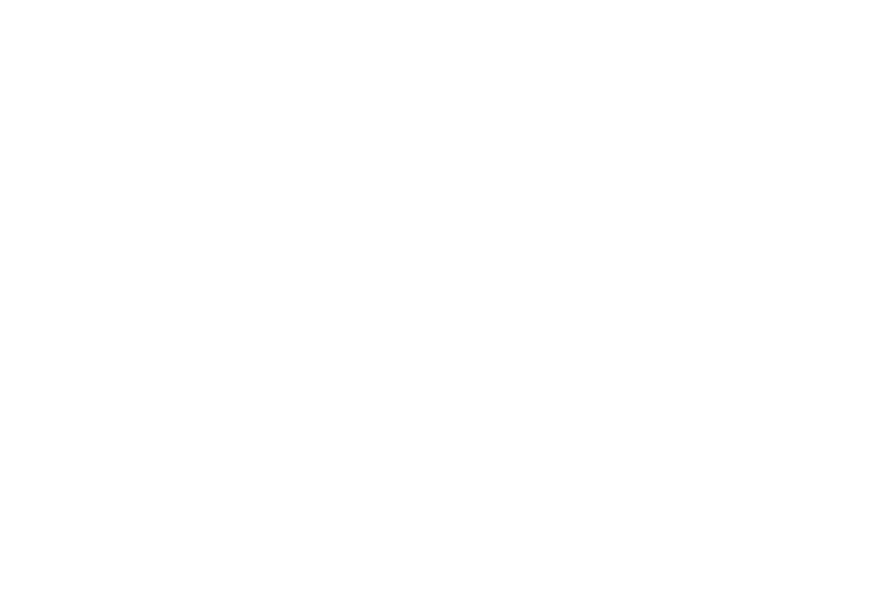 Award laurel — PLATINUM AWARD   MegaFlix Film Awards   BEST NARRATION 2024 — At Sea short film directed by Martin Marko